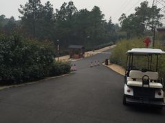 picture-南京汤山紫清湖生态旅游温泉度假区