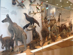 iphone_upload_pic-墨尔本博物馆(Melbourne Museum)