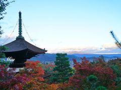 -常寂光寺