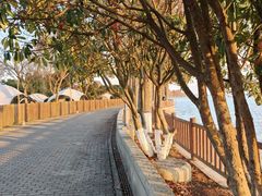 -太阳岛度假酒店