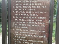 -神仙树公园