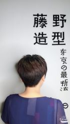 点击看大图 -藤野造型