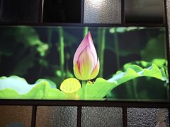 -荆楚食府(高铁店)