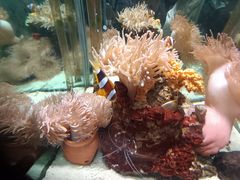 -太平洋海底世界