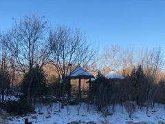-莲花池公园