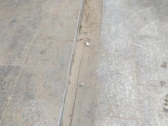 -肯德基(西稍门店)