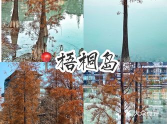深圳小仙境｜泰华梧桐岛