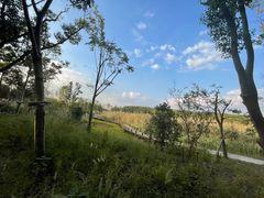 -同里国家湿地公园