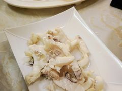 -源港渔村-中山脆肉鲩(博罗店)