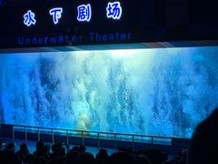 -泉城欧乐堡海洋极地世界