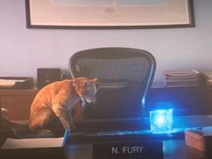 -金逸影城(中关村店)