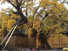 android_upload_pic-无锡惠山寺