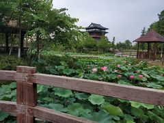 -董永七仙女文化园