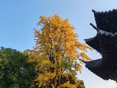 -宝通禅寺