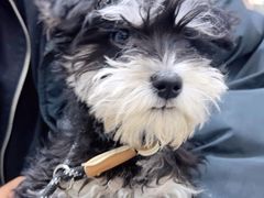 -派特宠物医院(圆融广场店)