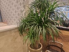 -御口福(王圣堂店)