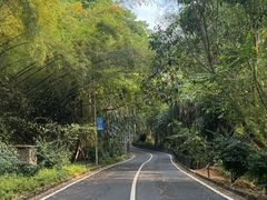 -孔雀湖生态旅游区