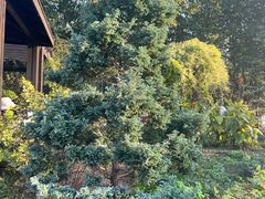 -世纪公园-世纪春沁园