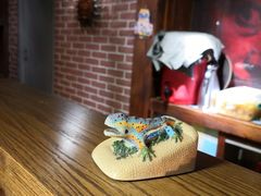 -CRAZYONES西班牙海鲜饭(日月光店)