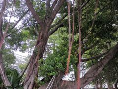 -荔湾湖公园