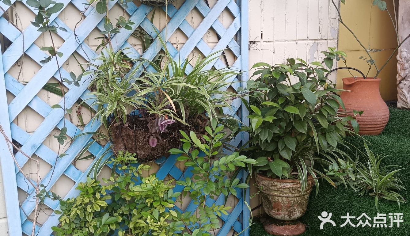 人在花间住人在草木中～咖啡馆里有个小小植物园