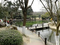 -白马涧龙池景区