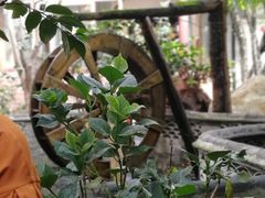 -四方小吃·白族庭院餐厅