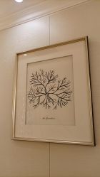 -茜尔维亚修身连锁(杨浦五角场店)