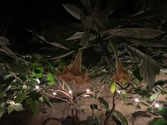 -懒鱼时光馆(沙坪坝店)