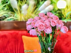 -花隐·美芙炫海菲秀皮肤管理中心