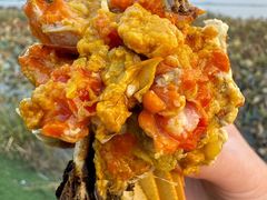 -七的湖·晚芳亭·阳澄湖农家菜·大闸蟹(莲花岛店)