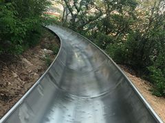 -富斯特索道