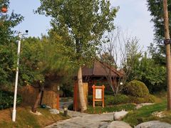 -思念果岭悦温泉