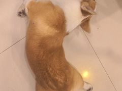 -平行世界·猫咖(首经贸店)