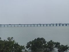 -宝安西湾红树林湿地公园