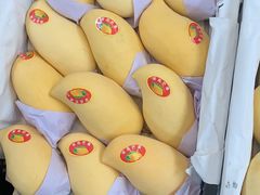 -西郊国际农产品交易中心