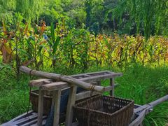 -仙居谷风景区