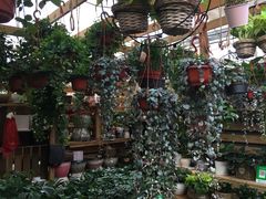 -秦美花卉(天朗·莱茵小城2期店)