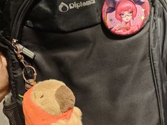 -海底捞火锅(龙湖北京大兴天街店)