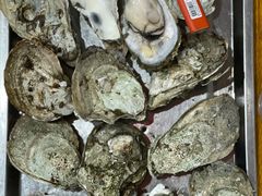 -蚝哥花姐湛江烤生蚝(美丽湾市场店)