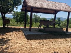 -济南野生动物世界