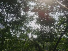 -燕晗山郊野公园
