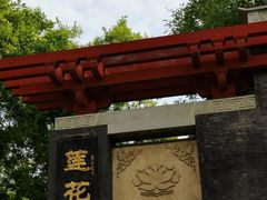 -莲花池公园