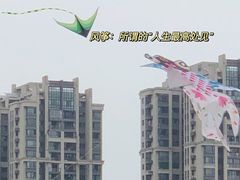 -凤岭儿童公园
