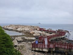 -养马岛旅游度假区