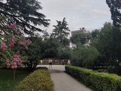 -莲湖公园