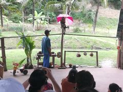 -王权免税店(普吉市区店)