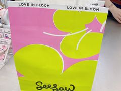 -Seesaw Coffee(武商MALL·武广店)