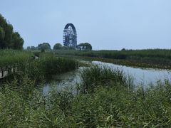 -苏州太湖湖滨国家湿地公园