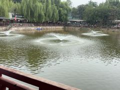 -尚庄度假村·庭台树下·户外烧烤·团建CS·轰趴营地(上庄水库店)